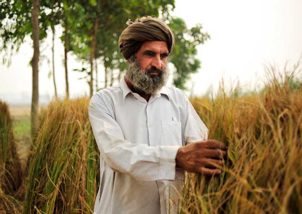 farmer-in-Punjab